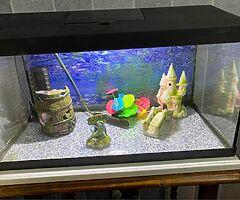 Fish tank