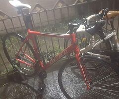 Carrera road/racing bike