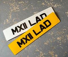 2011 Personalised plate MX11 LAD