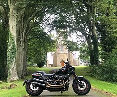 2019 Harley-Davidson Fat Bob - Image 5/5
