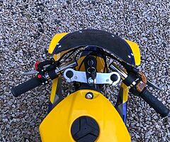 2022 A.P.C Motor Company Wild Card