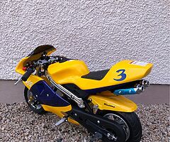 2022 A.P.C Motor Company Wild Card