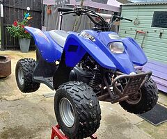 2010 CH Racing quadzilla - Image 5/5