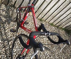 Carbon bike - Image 4/7