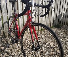 Carbon bike - Image 6/7