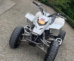 Yamaha blaster 200 - Image 9/10