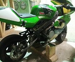 2010 A.P.C Motor Company Wild Card