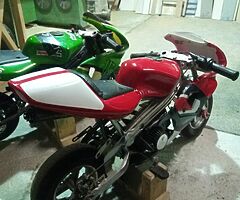 2010 A.P.C Motor Company Wild Card