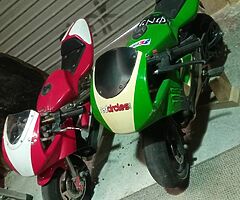 2010 A.P.C Motor Company Wild Card