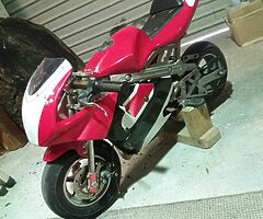 2010 A.P.C Motor Company Wild Card - Image 4/6