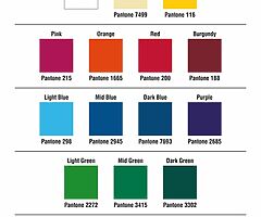 PRINTED TAX, INSURANCE & NCT HOLDERS WITH FREE BUSINESS CARDS