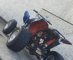 Raptor 660 - Image 7/7