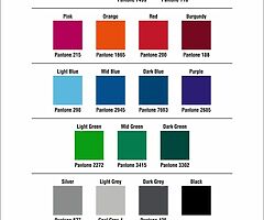 PRINTED TAX, INSURANCE & NCT HOLDERS - WITH FREE BUSINESS CARDS