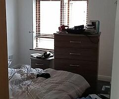 Painter available very cheap prices please pm - Image 3/6