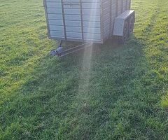 8X4 Cattle /Sheep Trailer