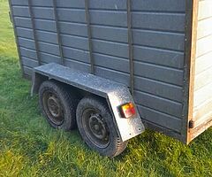 8X4 Cattle /Sheep Trailer