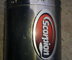 Scorpion can
