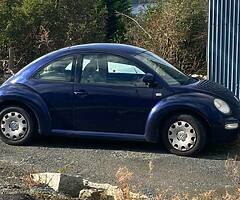 Be beetle