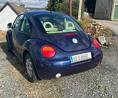 Be beetle