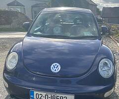 Be beetle - Image 3/3