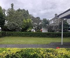 0872918464 - Image 5/9
