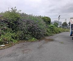 0872918464 - Image 6/9
