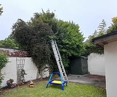 0872918464 - Image 8/9