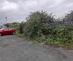 0872918464 - Image 9/9
