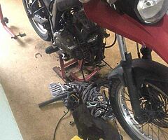 2009 Derbi Terra 125