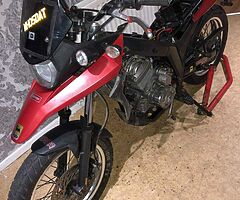 2009 Derbi Terra 125 - Image 5/5