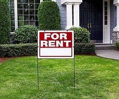 WANTED!! WANTED!!! YARD TO LET