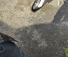 2020 KTM SX - Image 6/10