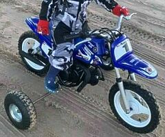 2012 Py 50 - Image 4/6