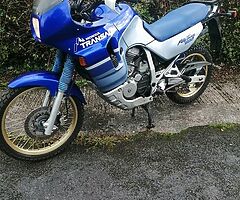 Transalp 600