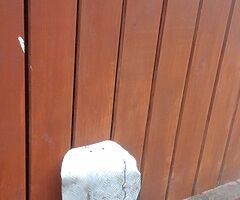 Motorcycle parts ( garage clear out bits and pieces. ) ARDS area. - Image 9/10