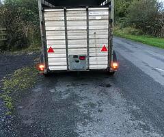 10x5 ifor williams - Image 5/7