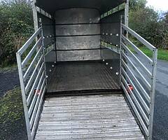 10x5 ifor williams - Image 6/7