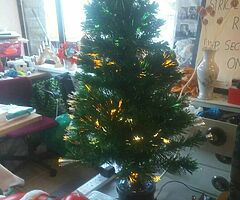 Christmas flowers