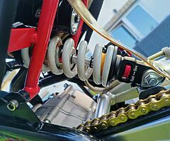 2018 CW Race Ready Pit Bike - Image 7/10