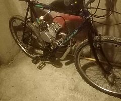 2021 A.P.C Motor Company Motorised bikes