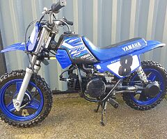 2019 Yamaha PW