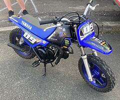 Pw50