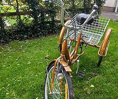 Three wheel bike