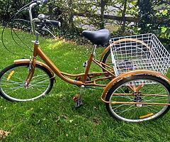 Three wheel bike