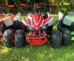 2022 Enduro 110cc Petrol Quad