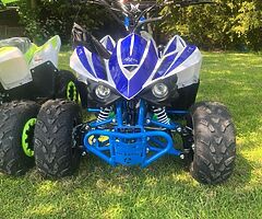 2022 Enduro 110cc Petrol Quad - Image 10/10