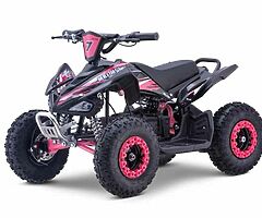 2022 MRF MINI 36v 1000w Electric Quad