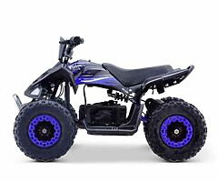 2022 MRF MINI 36v 1000w Electric Quad - Image 5/10