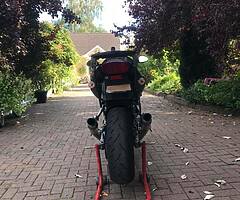 Honda vtr firestorm - Image 4/6