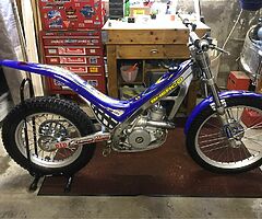 2002 Sherco 290 - Image 6/6